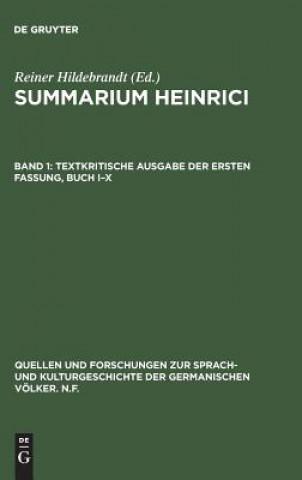 Carte Summarium Heinrici, Band 1, Textkritische Ausgabe der ersten Fassung, Buch I-X Reiner Hildebrandt