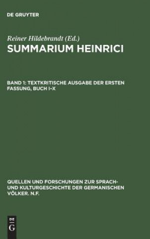 Knjiga Summarium Heinrici, Band 1, Textkritische Ausgabe der ersten Fassung, Buch I-X Reiner Hildebrandt