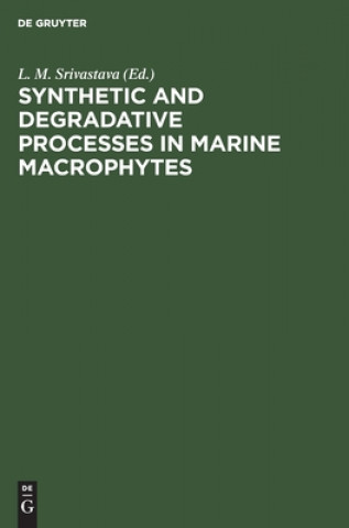 Kniha Synthetic and Degradative Processes in Marine Macrophytes 