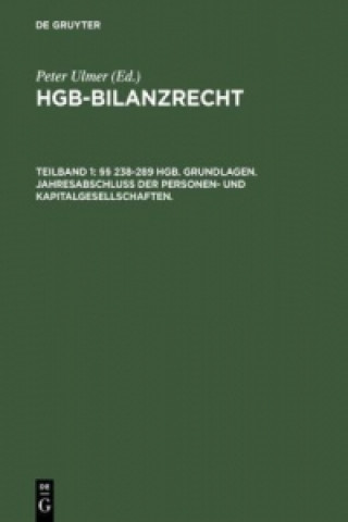 Carte Hgb-Bilanzrecht Peter Ulmer