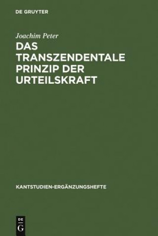 Livre transzendentale Prinzip der Urteilskraft Joachim Peter