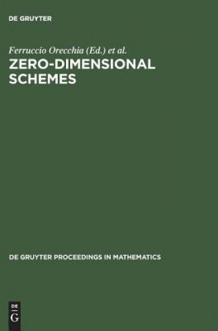 Knjiga Zero-Dimensional Schemes Luca Chiantini
