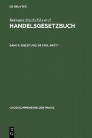 Kniha Einleitung;  1-104 Dieter Brüggemann