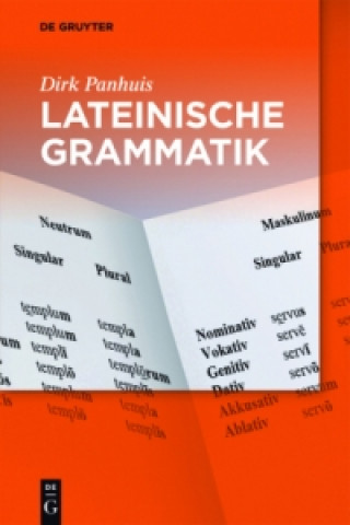 Kniha Lateinische Grammatik Dirk Panhuis