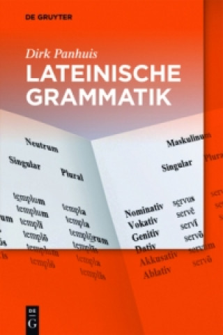 Buch Lateinische Grammatik Dirk Panhuis