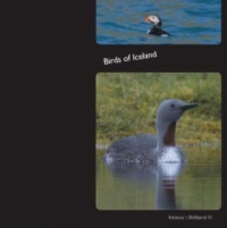 Kniha Birds of Iceland fotolulu