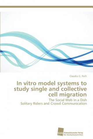 Książka In vitro model systems to study single and collective cell migration Rolli Claudio G