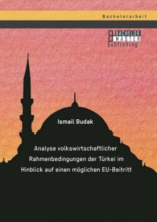 Kniha Analyse volkswirtschaftlicher Rahmenbedingungen der Turkei im Hinblick auf einen moeglichen EU-Beitritt Ismail Budak