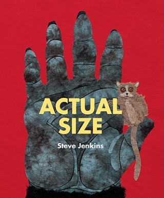 Książka Actual Size Steve Jenkins