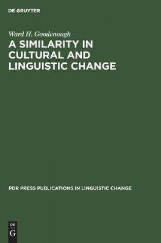 Könyv Similarity in Cultural and Linguistic Change 