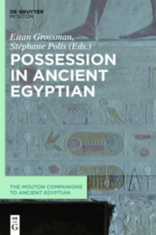 Könyv Possession in Ancient Egyptian Eitan Grossman
