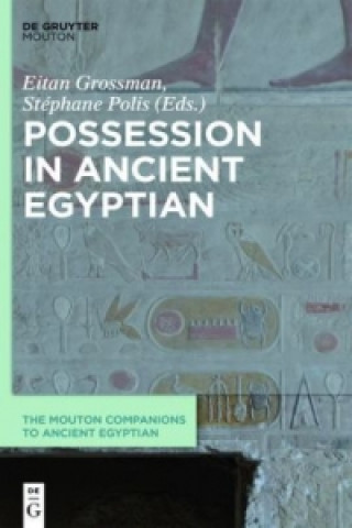 Βιβλίο Possession in Ancient Egyptian Eitan Grossman