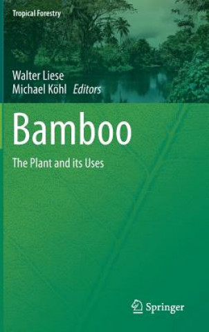 Kniha Bamboo Walter Liese