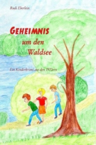 Książka Geheimnis um den Waldsee Rudi Eberlein