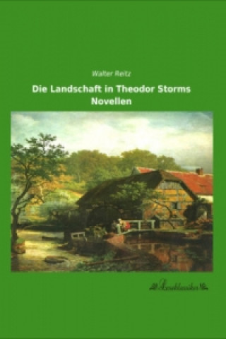 Kniha Die Landschaft in Theodor Storms Novellen Walter Reitz