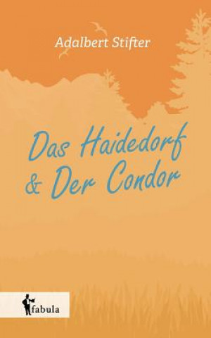 Kniha Haidedorf, Der Condor. Novellen Adalbert Stifter