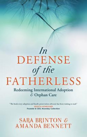 Könyv In Defense of the Fatherless Sara Brinton