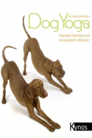 Kniha Dogyoga Jo-Rosie Haffenden