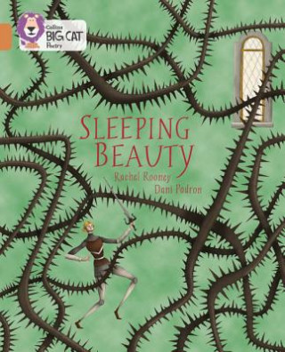 Buch Sleeping Beauty Rachel Rooney