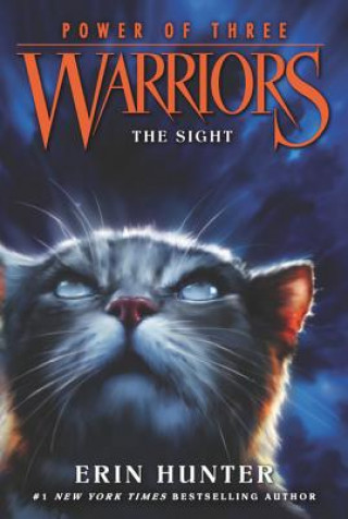 Kniha Warriors: Power of Three #1: The Sight Erin Hunter
