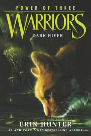 Könyv Warriors: Power of Three #2: Dark River Erin Hunter