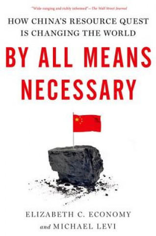 Book By All Means Necessary Michael Levi