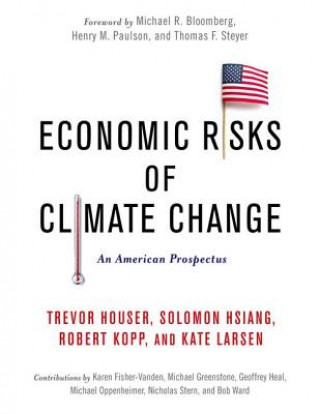 Kniha Economic Risks of Climate Change Kate Larsen