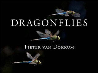 Книга Dragonflies Pieter Van Dokkum