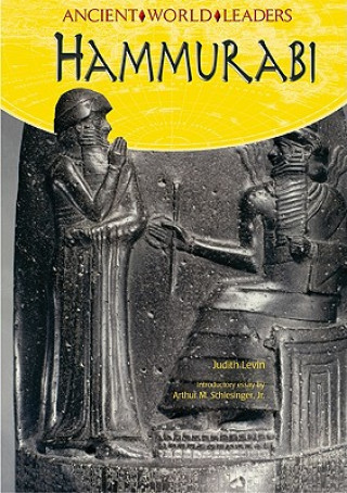Kniha Hammurabi Judith Levin