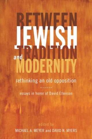 Kniha Between Jewish Tradition and Modernity David Myers