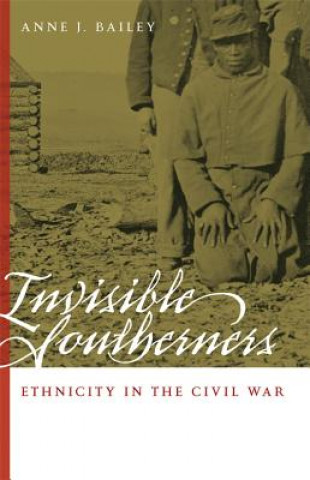 Könyv Invisible Southerners Anne J. Bailey