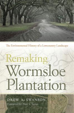 Könyv Remaking Wormsloe Plantation Drew A. Swanson