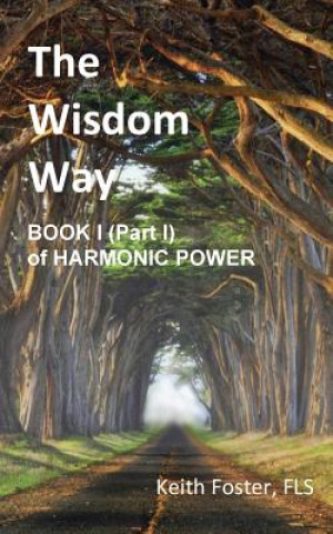 Book Wisdom Way - Book 1 (Part 1 of Harmonic Power) Keith Edward Foster