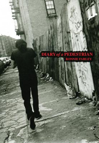 Könyv Diary of a Pedestrian: A New York Photo Memoir Ronnie Farley