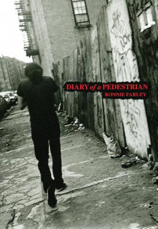 Buch Diary of a Pedestrian: A New York Photo Memoir Ronnie Farley