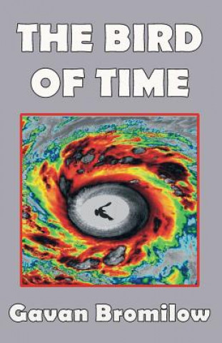 Buch Bird of Time Gavan Bromilow