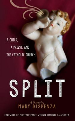 Книга Split Mary C Dispenza