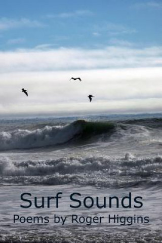 Knjiga Surf Sounds Roger Higgins