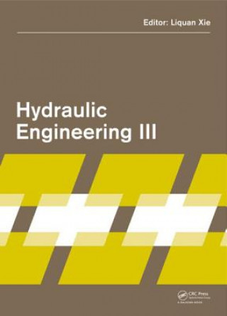 Könyv Hydraulic Engineering III 