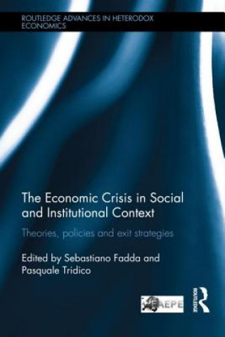 Kniha Economic Crisis in Social and Institutional Context 