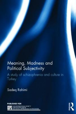 Könyv Meaning, Madness and Political Subjectivity Sadeq Rahimi