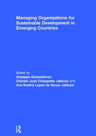 Книга Managing Organizations for Sustainable Development in Emerging Countries 