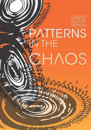 Livre Patterns in the Chaos David Scott-Morgan