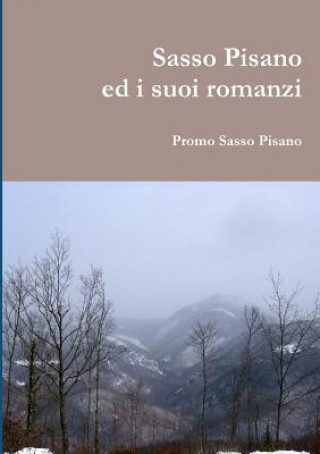 Książka SASSO Pisano Ed I Suoi Romanzi Promo Sasso Pisano