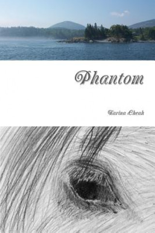 Knjiga Phantom Karina Cheah