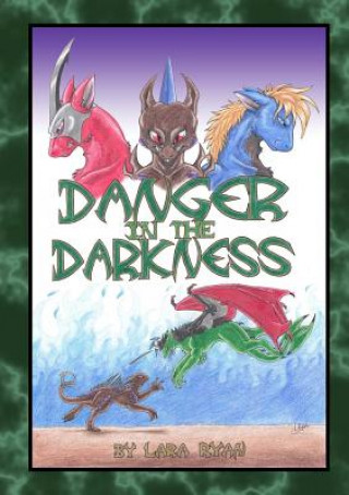 Kniha Danger in the Darkness Lara Ryan