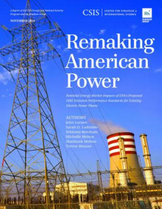 Buch Remaking American Power Whitney Ketchum