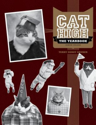 Knjiga Cat High Terry DeRoy Gruber