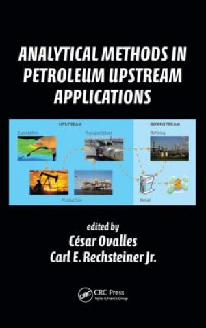 Livre Analytical Methods in Petroleum Upstream Applications 