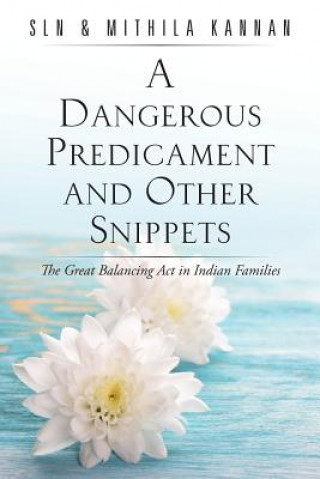 Könyv Dangerous Predicament and Other Snippets Sln & Mithila Kannan